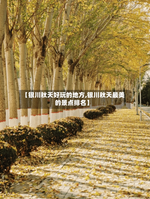 【银川秋天好玩的地方,银川秋天最美的景点排名】