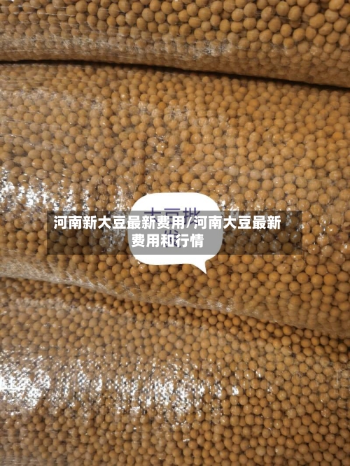 河南新大豆最新费用/河南大豆最新费用和行情-第2张图片