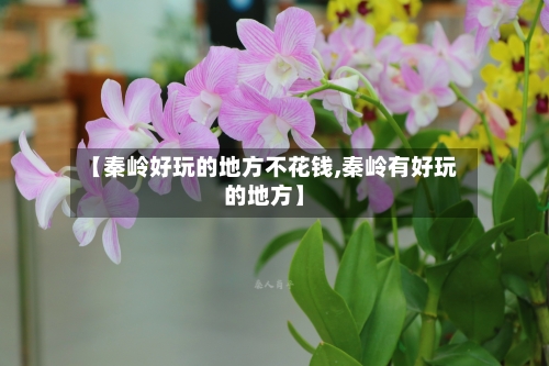 【秦岭好玩的地方不花钱,秦岭有好玩的地方】-第2张图片