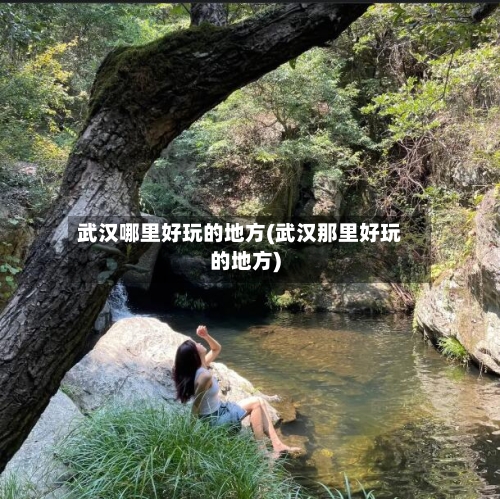 武汉哪里好玩的地方(武汉那里好玩的地方)-第2张图片