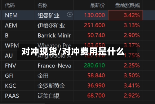 对冲现货/对冲费用是什么