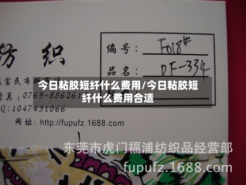 今日粘胶短纤什么费用/今日粘胶短纤什么费用合适