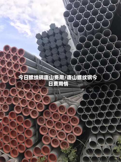 今日螺纹钢唐山费用/唐山螺纹钢今日费用情