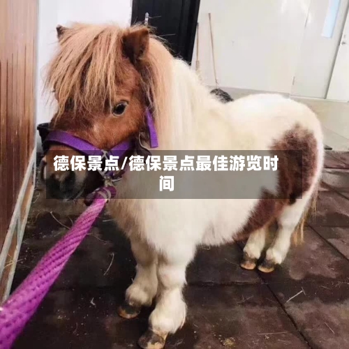 德保景点/德保景点最佳游览时间