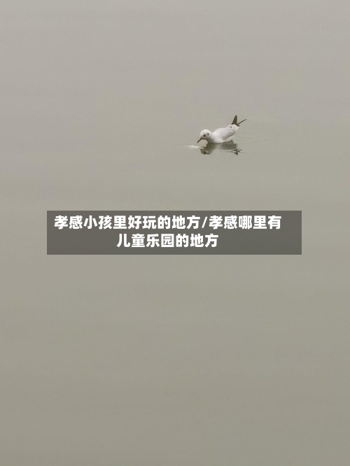 孝感小孩里好玩的地方/孝感哪里有儿童乐园的地方