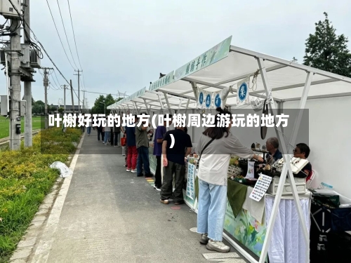 叶榭好玩的地方(叶榭周边游玩的地方)