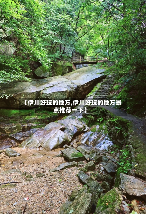 【伊川好玩的地方,伊川好玩的地方景点推荐一下】