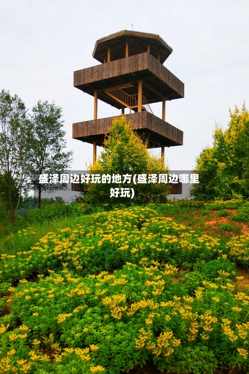 盛泽周边好玩的地方(盛泽周边哪里好玩)