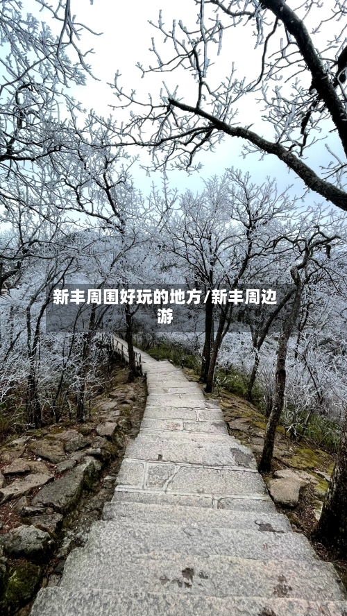 新丰周围好玩的地方/新丰周边游