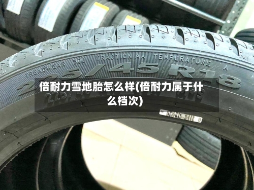 倍耐力雪地胎怎么样(倍耐力属于什么档次)-第2张图片
