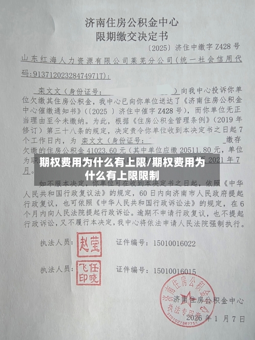 期权费用为什么有上限/期权费用为什么有上限限制-第2张图片