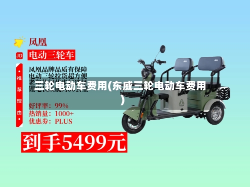 三轮电动车费用(东威三轮电动车费用)