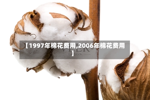 【1997年棉花费用,2006年棉花费用】