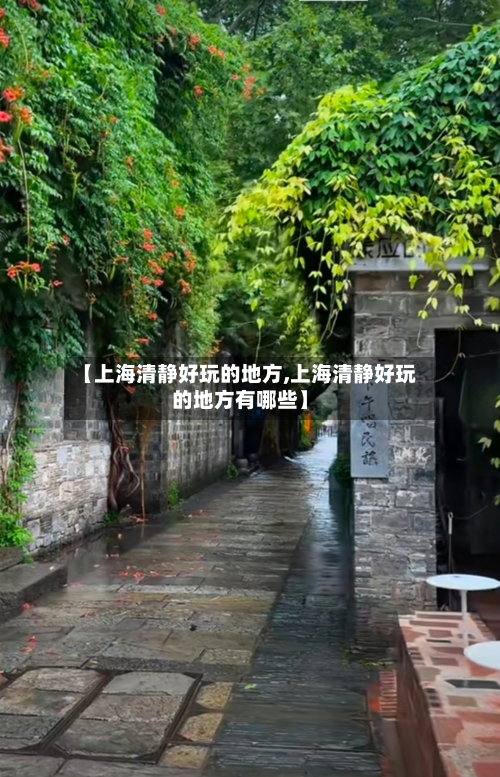 【上海清静好玩的地方,上海清静好玩的地方有哪些】