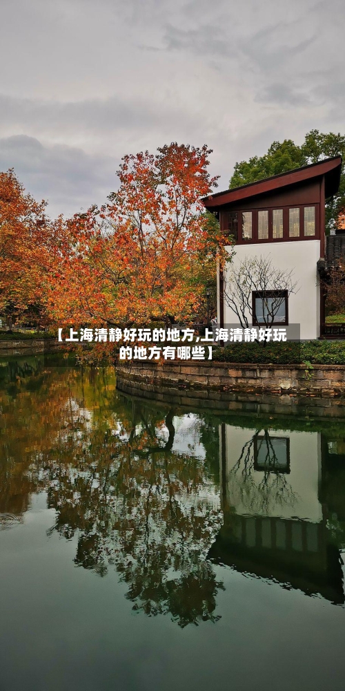 【上海清静好玩的地方,上海清静好玩的地方有哪些】-第2张图片