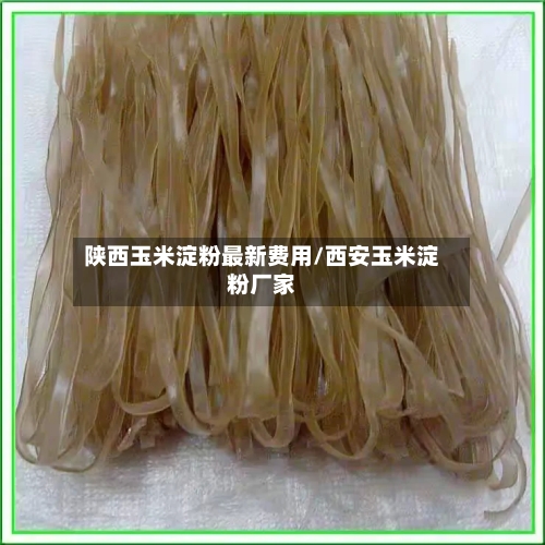 陕西玉米淀粉最新费用/西安玉米淀粉厂家-第2张图片