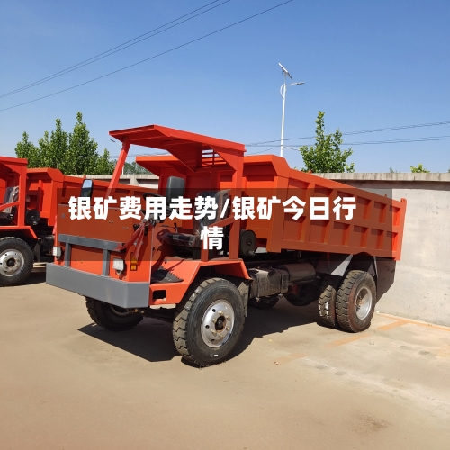 银矿费用走势/银矿今日行情-第3张图片