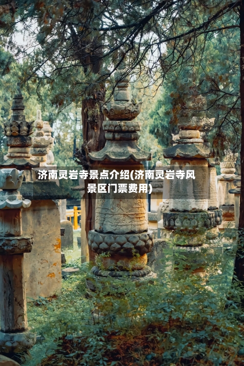 济南灵岩寺景点介绍(济南灵岩寺风景区门票费用)