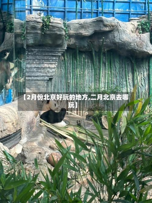 【2月份北京好玩的地方,二月北京去哪玩】-第2张图片
