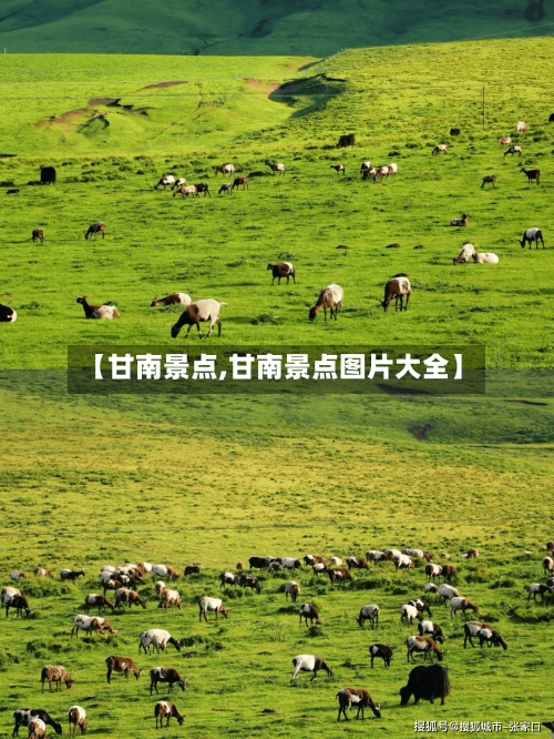 【甘南景点,甘南景点图片大全】-第2张图片