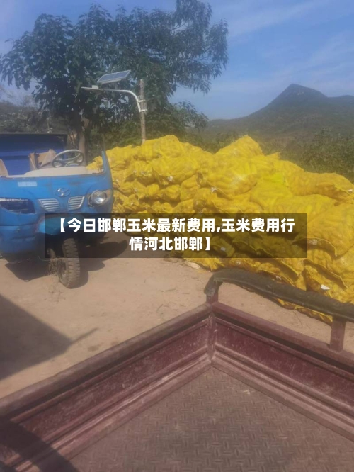 【今日邯郸玉米最新费用,玉米费用行情河北邯郸】-第2张图片
