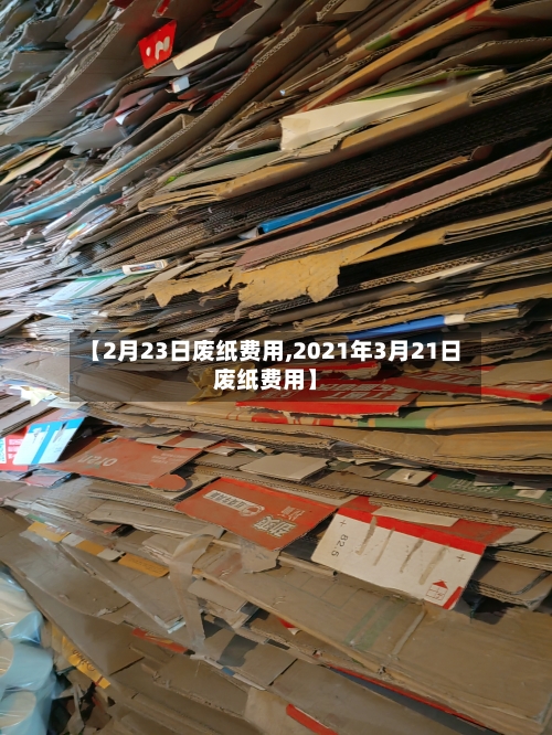 【2月23日废纸费用,2021年3月21日废纸费用】-第2张图片