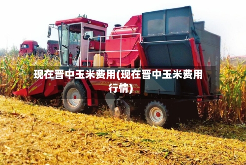 现在晋中玉米费用(现在晋中玉米费用行情)