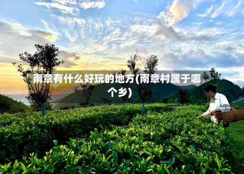 南章有什么好玩的地方(南章村属于哪个乡)