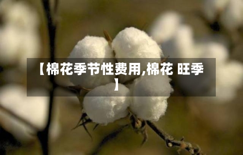【棉花季节性费用,棉花 旺季】