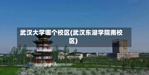 武汉大学哪个校区(武汉东湖学院南校区)