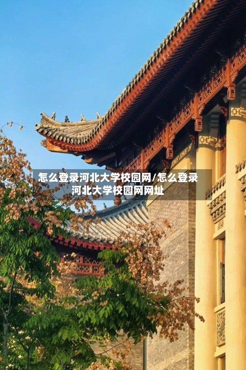 怎么登录河北大学校园网/怎么登录河北大学校园网网址