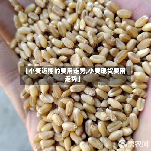 【小麦近期的费用走势,小麦现货费用走势】