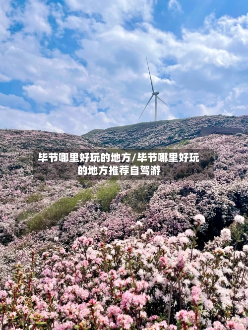 毕节哪里好玩的地方/毕节哪里好玩的地方推荐自驾游-第2张图片