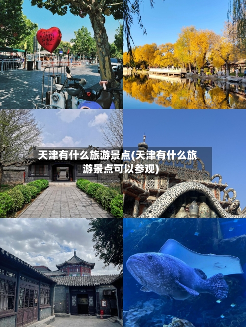 天津有什么旅游景点(天津有什么旅游景点可以参观)