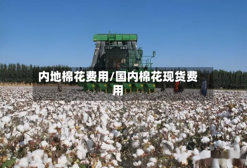 内地棉花费用/国内棉花现货费用-第3张图片