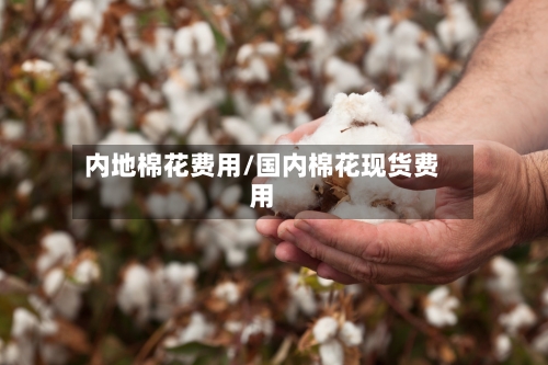 内地棉花费用/国内棉花现货费用