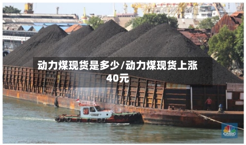 动力煤现货是多少/动力煤现货上涨40元
