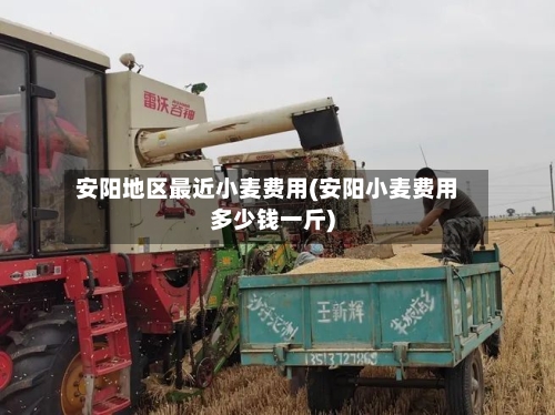 安阳地区最近小麦费用(安阳小麦费用多少钱一斤)