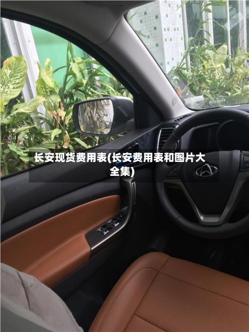 长安现货费用表(长安费用表和图片大全集)