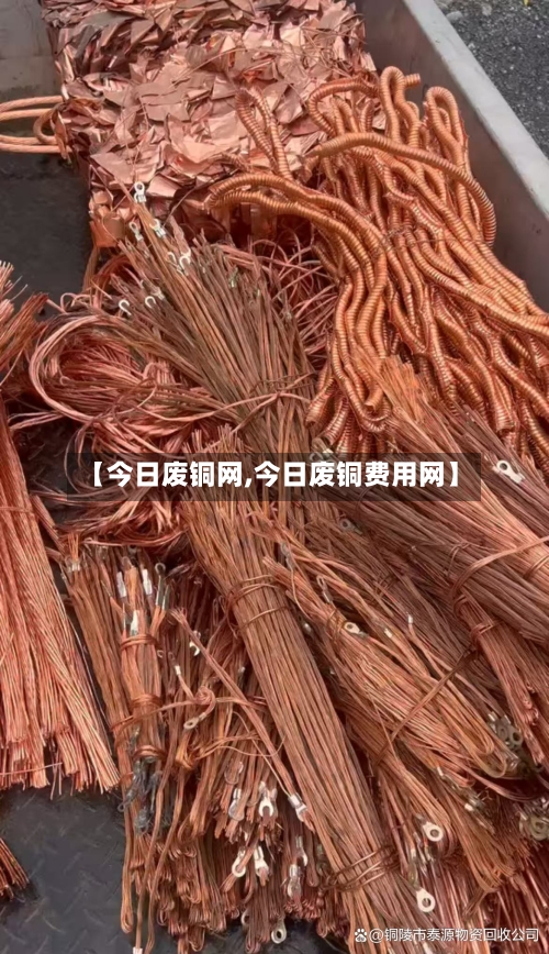 【今日废铜网,今日废铜费用网】-第2张图片