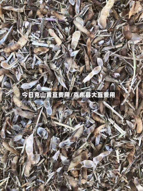 今日克山黄豆费用/克东县大豆费用-第3张图片