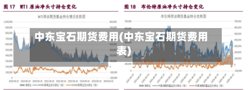 中东宝石期货费用(中东宝石期货费用表)