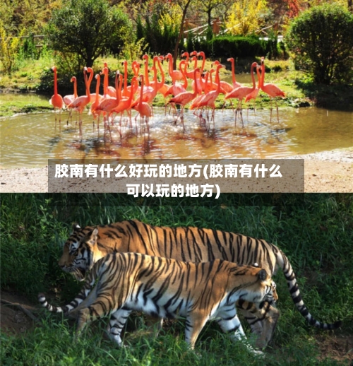 胶南有什么好玩的地方(胶南有什么可以玩的地方)-第2张图片