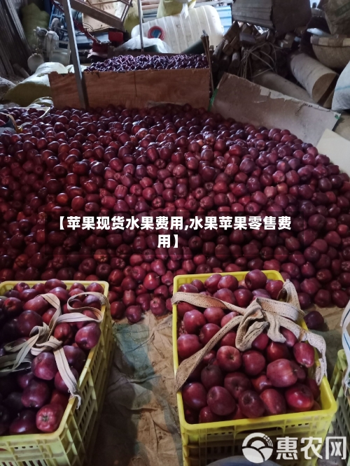 【苹果现货水果费用,水果苹果零售费用】-第2张图片