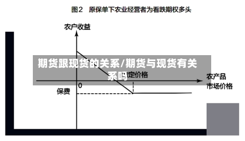 期货跟现货的关系/期货与现货有关系吗-第2张图片