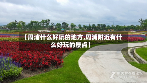【周浦什么好玩的地方,周浦附近有什么好玩的景点】