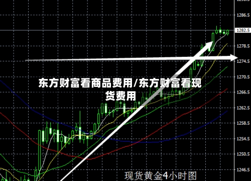 东方财富看商品费用/东方财富看现货费用