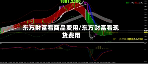 东方财富看商品费用/东方财富看现货费用-第2张图片