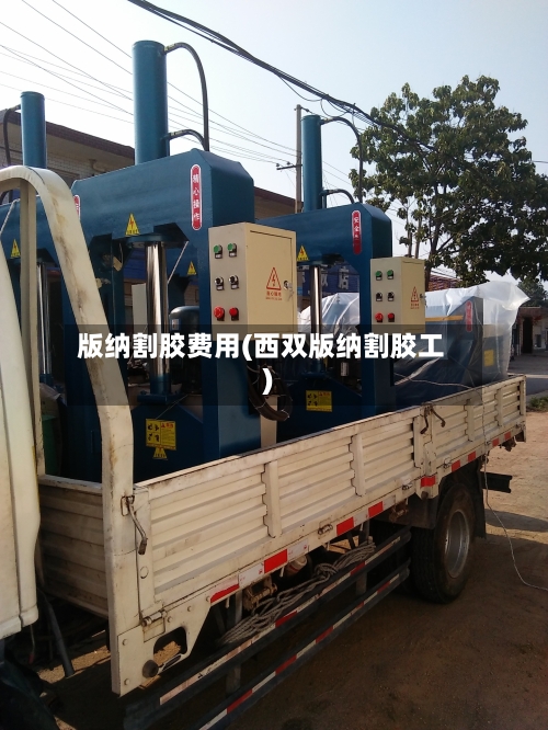 版纳割胶费用(西双版纳割胶工)