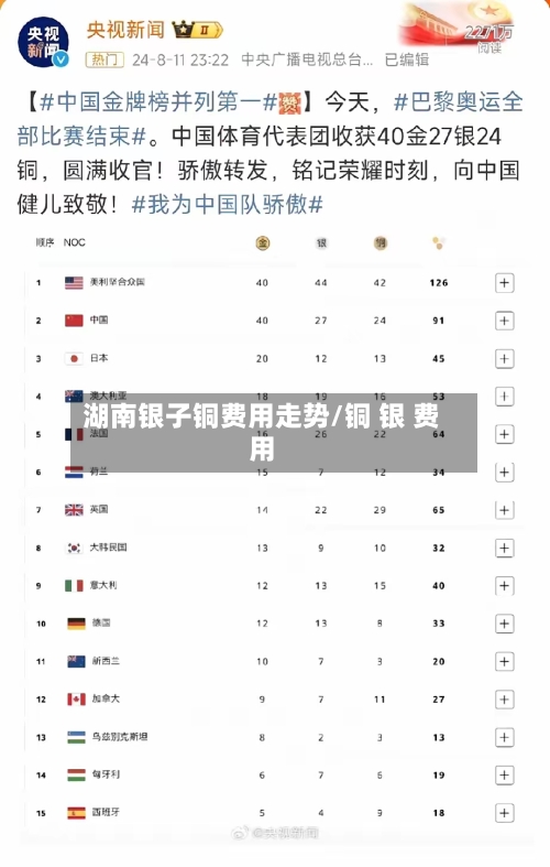湖南银子铜费用走势/铜 银 费用